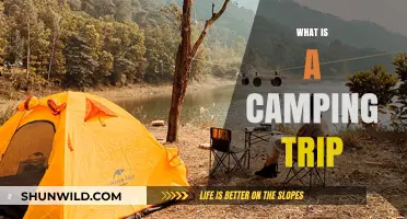 Exploring Nature: The Ultimate Guide to a Perfect Camping Trip