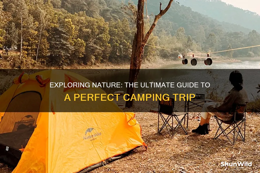 what is a camping trip