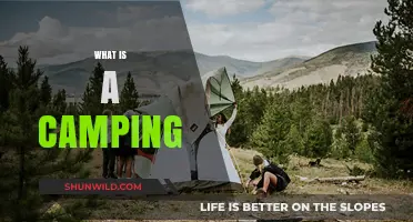 Exploring the Great Outdoors: Understanding the Joy of Camping Adventures