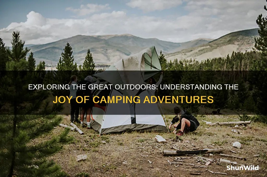 what is a camping