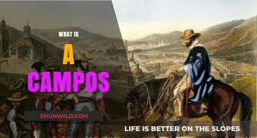Understanding Campos: Origins, Uses, and Cultural Significance Explained