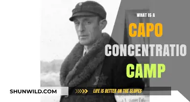 Understanding the History and Horrors of Capo Concentration Camps