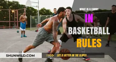 Understanding Basketball's Carry Rule: Definition, Violation, and Proper Ball Handling