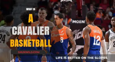 Understanding Cavalier Basketball: History, Team, and Legacy Explained