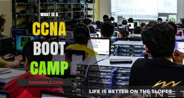 Understanding CCNA Boot Camps: Accelerated Training for Networking Success