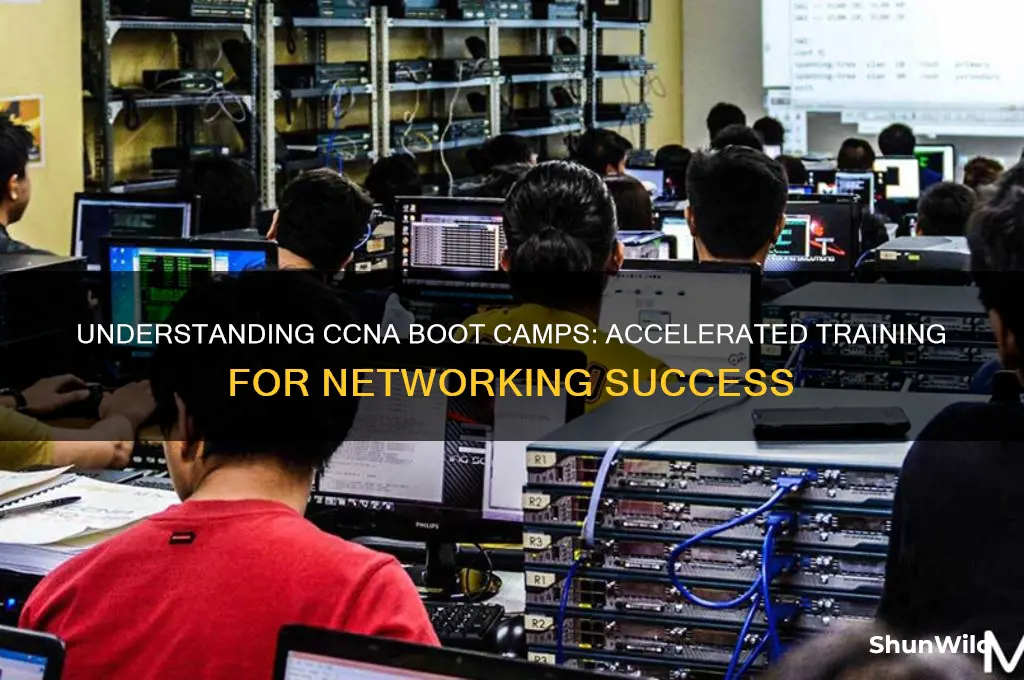 what is a ccna boot camp