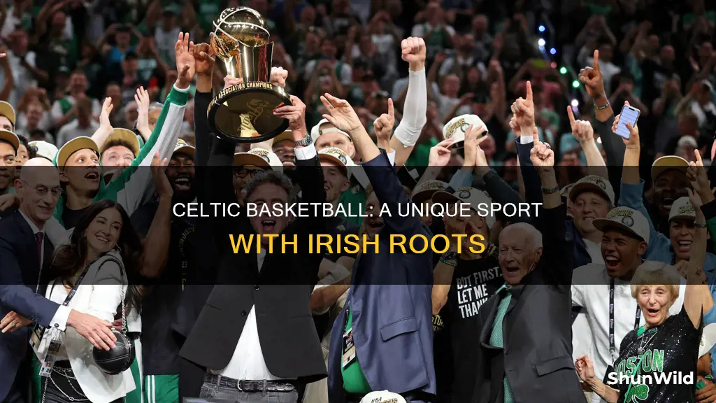 what is a celtic basketball