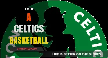 Understanding the Boston Celtics: A Historic NBA Basketball Franchise Explained