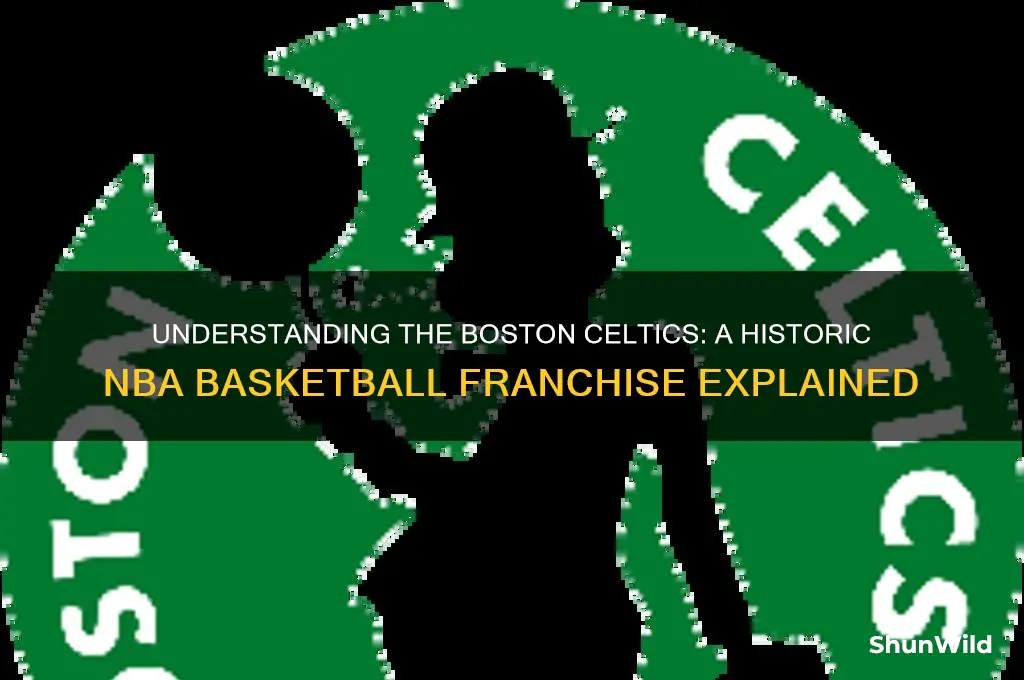 what is a celtics basketball