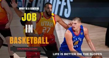 Centers: Basketball's Key Playmakers