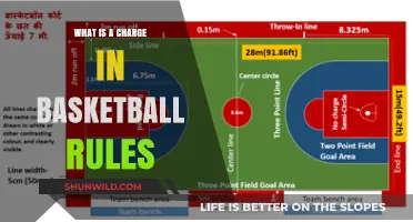 Understanding Basketball Charges: Rules, Techniques, and Key Differences Explained