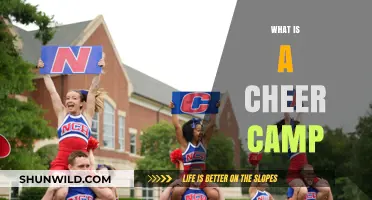 Exploring Cheer Camp: Fun, Skills, and Team Spirit Explained
