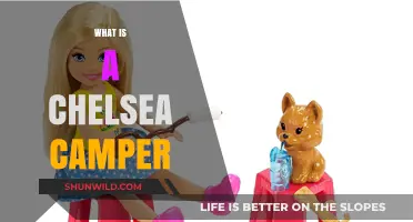 Exploring the Chelsea Camper: A Unique RV Experience