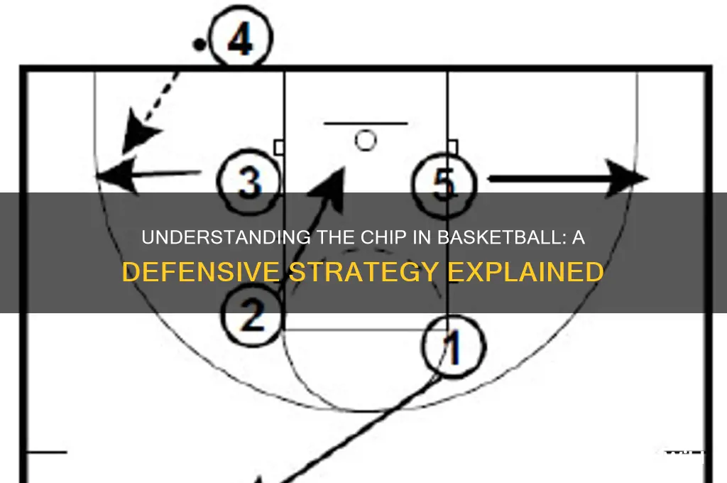 what is a chip in basketball