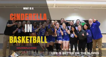 Understanding the Cinderella Story in College Basketball Tournaments