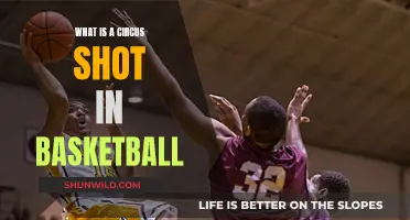 Circus Shot: Basketball's Most Difficult Move?