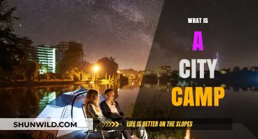 Exploring Urban Adventures: Understanding the Concept of City Camps