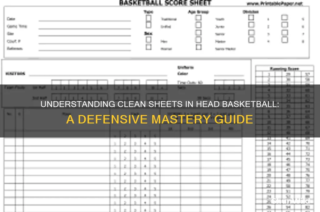 what is a clean sheet in head basketball