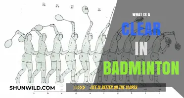 Understanding Clear Shots in Badminton