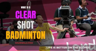 Clear Shot Badminton: Master the Basics