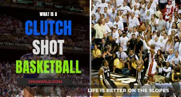 Clutch Time: Unlocking the Power of the Basketball Game-Winning Shot