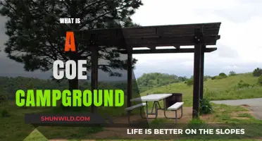 Understanding the Basics of a COE Campground: A Beginner's Guide