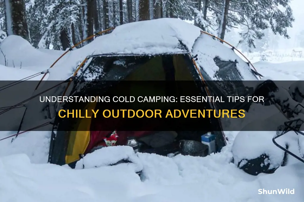 what is a cold camp
