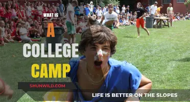 Exploring College Camps: Benefits, Activities, and What to Expect