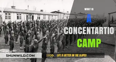 Understanding Concentration Camps: History, Purpose, and Human Impact Explained