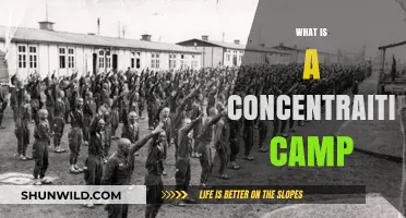 Understanding Concentration Camps: History, Purpose, and Human Impact Explained