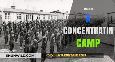 Understanding Concentration Camps: History, Purpose, and Human Impact Explained