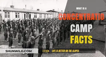 Understanding Concentration Camps: History, Purpose, and Harrowing Facts