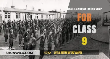 Understanding Concentration Camps: A Class 9 History Lesson