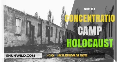 Understanding Concentration Camps: The Holocaust's Dark Legacy Explained