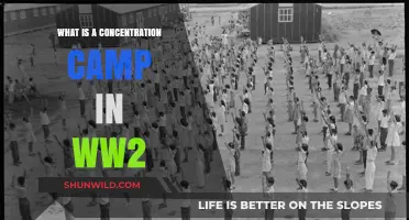 Understanding Concentration Camps: A Dark Chapter of World War II
