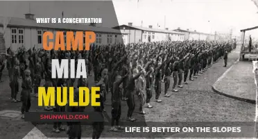 Understanding Concentration Camps: Mia Mulde's Perspective and Historical Context