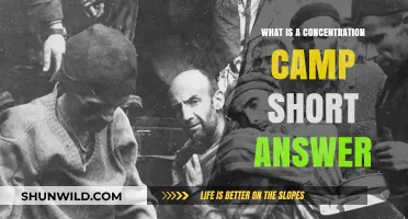 Understanding Concentration Camps: A Concise Historical Overview