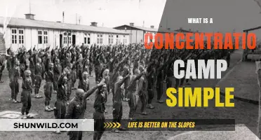 Understanding Concentration Camps: A Simple Explanation of Their Dark History