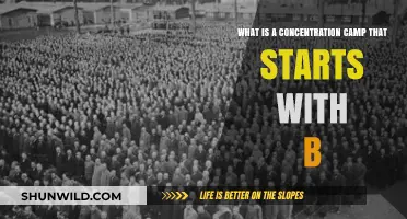 Beyond Brutality: Understanding the Horrors of Buchenwald Concentration Camp