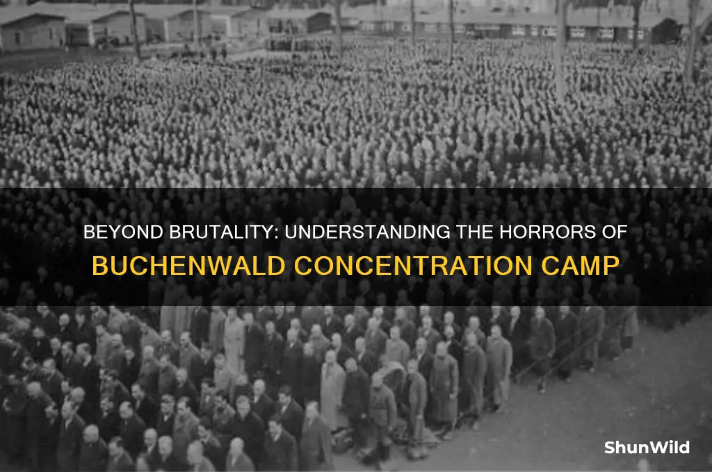 what is a concentration camp that starts with b