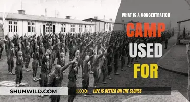 Understanding Concentration Camps: Purpose, History, and Impact Explained