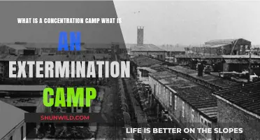 Concentration Camps vs. Extermination Camps: Understanding the Dark Differences