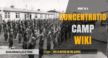 Understanding Concentration Camps: History, Definition, and Wiki Insights