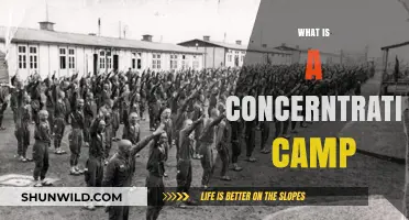 Understanding Concentration Camps: History, Purpose, and Lasting Impact
