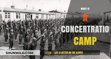 Understanding Concentration Camps: History, Purpose, and Human Impact Explained