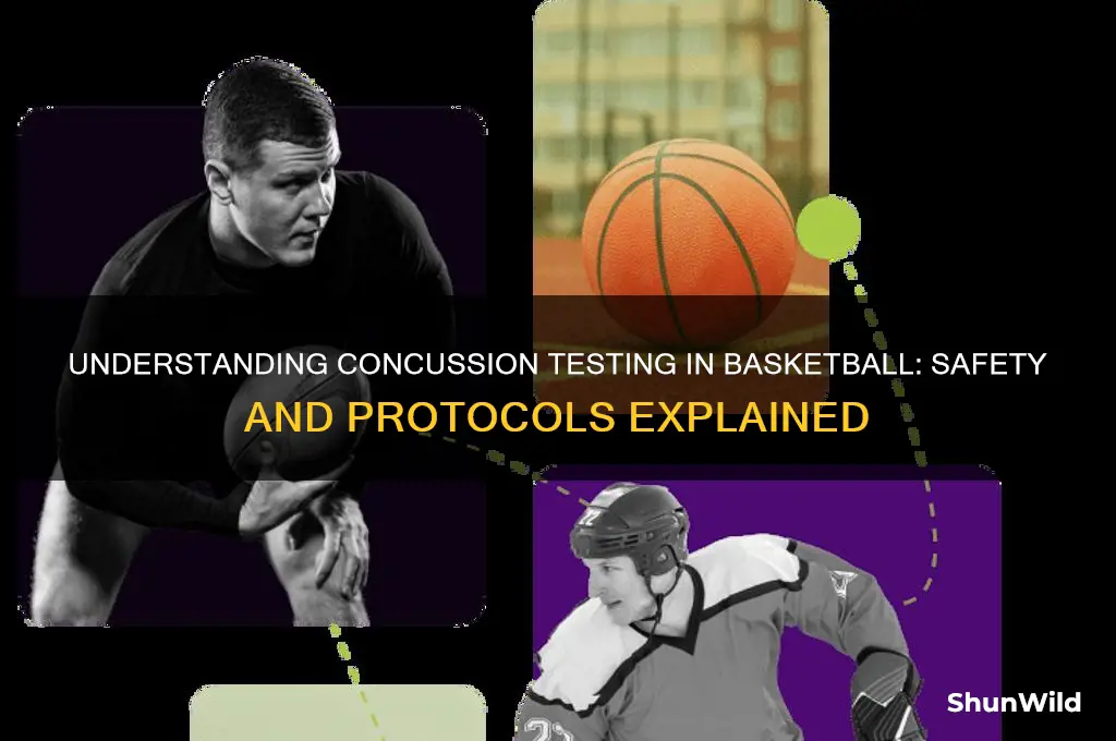 what is a concussion test for basketball