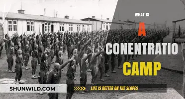 Understanding Concentration Camps: History, Purpose, and Human Impact Explained