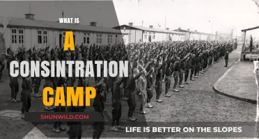 Understanding Concentration Camps: History, Purpose, and Human Impact Explained