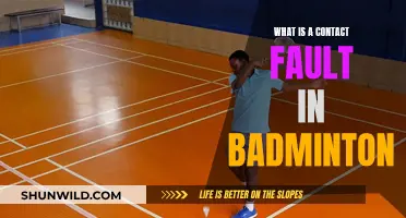 Contact Faults: Understanding Badminton's Basic Rules
