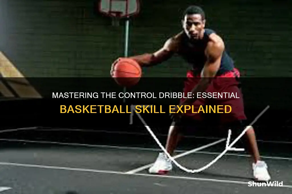 what is a control dribble in basketball